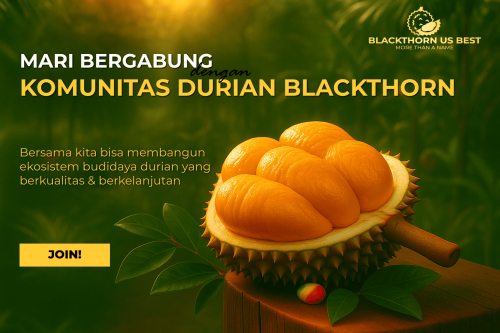 Join Komunitas Blackthorn Us Best